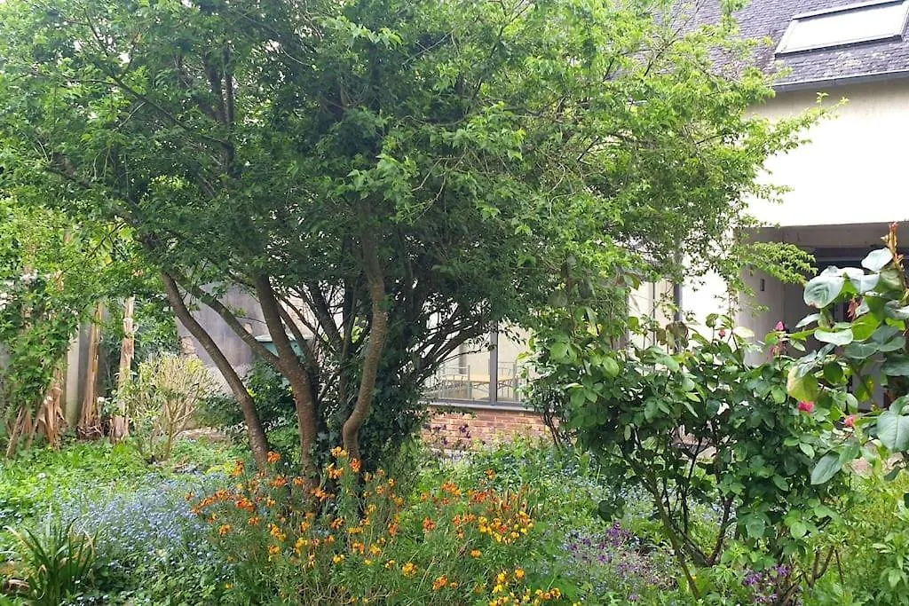 La Maison Fleurie Жослен
